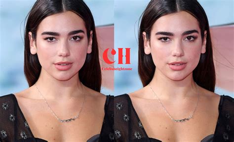 dua lipa height feet|dua lipa weight loss.